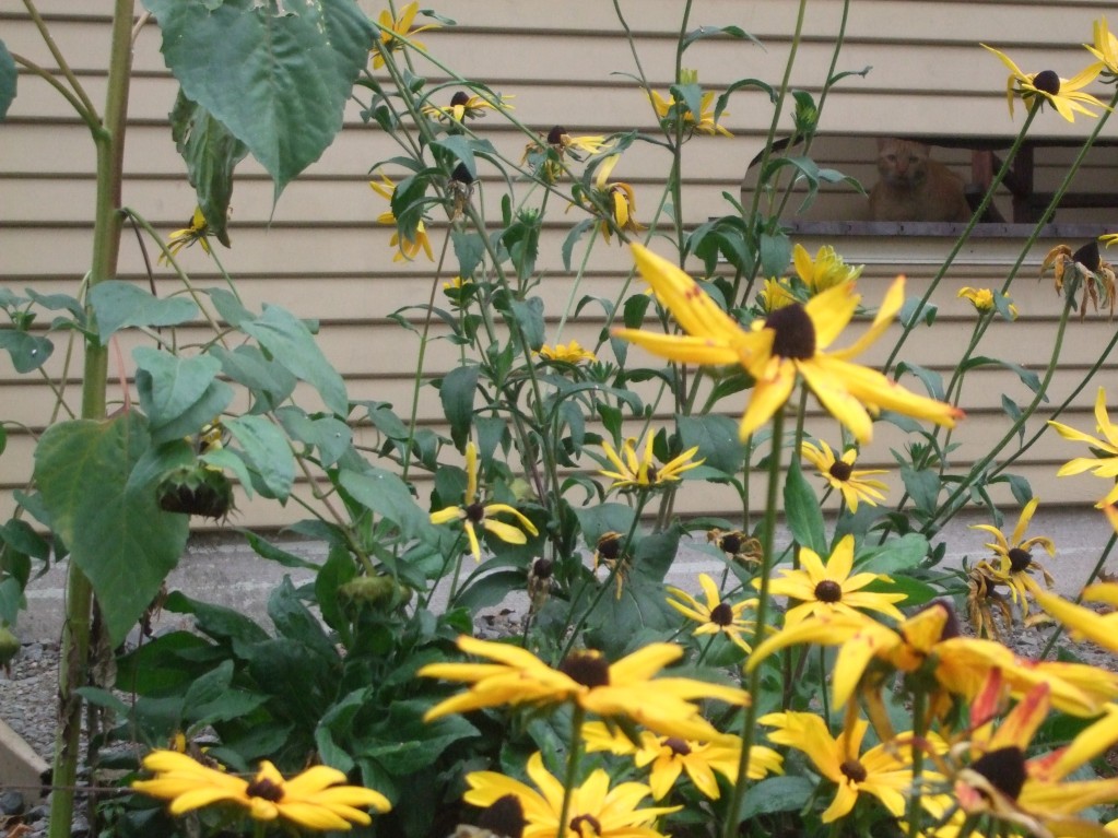 ON YOUR PORCH